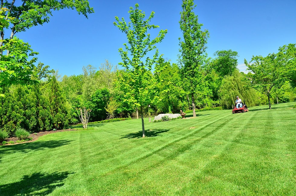 lawn service provider