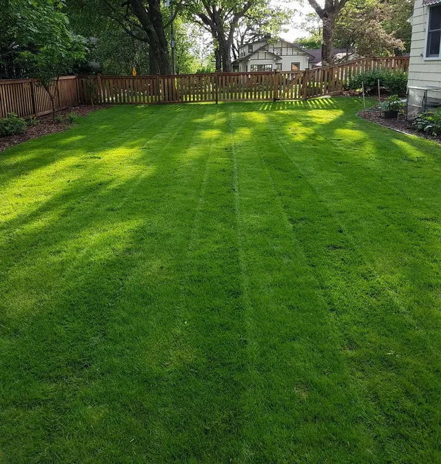 Nice and Healthy lawn in Longhorne, PA